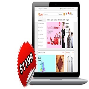 Introduction To Aliexpress clone script