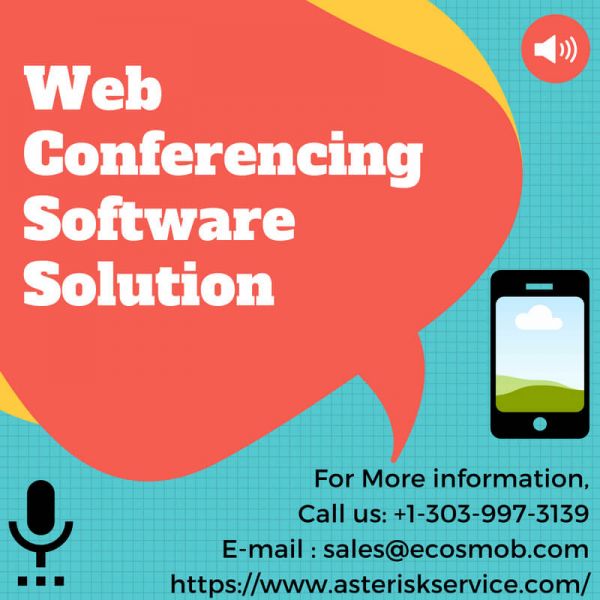 Web Conferencing Software Solution in Texas