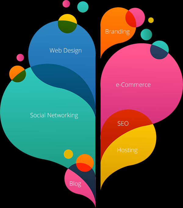 Web Development Company in Los Angeles 1-888-644-5402