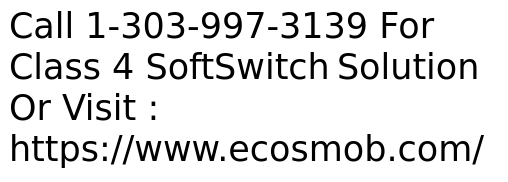 Class 4 softswitch solutions for industries