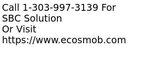 Session Border Controller Software for VoIP Network 