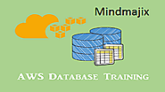 Learn AWS Database Certification Course From Experts