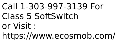 VoIP Class 5 Softswitch Development