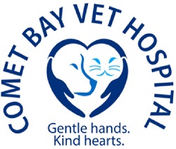 Cometbayvethospital