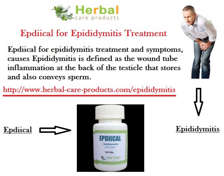 Natural Herbs for Epididymitis Herbal Treatment