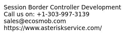 Session Border Controller Development