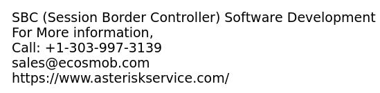 SBC (Session Border Controller) Software Development