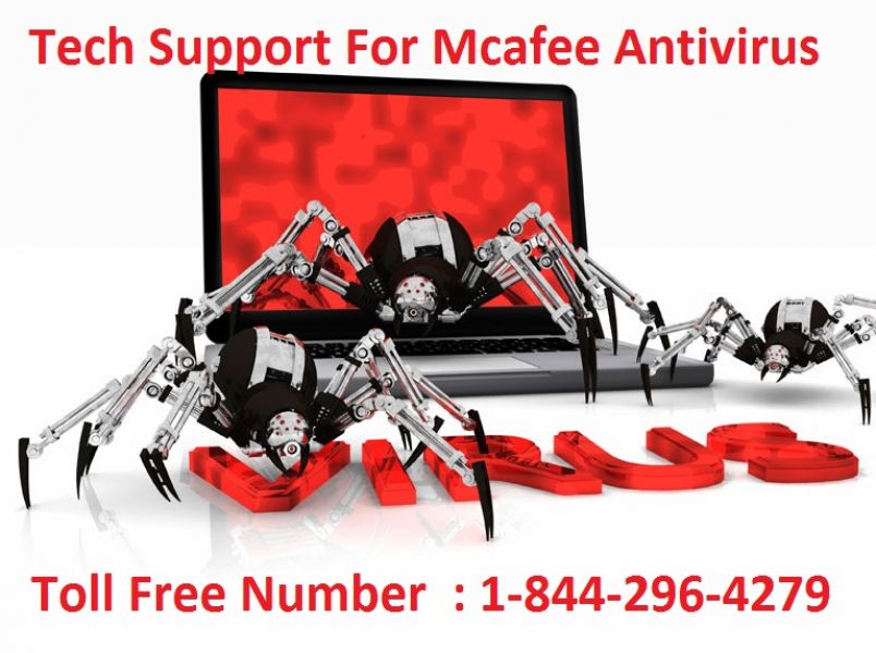 Www.mcafee.com/activate | mcafeecom/activate | McAfee Toll Free Number