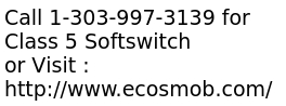 Customised Class 5 softSwitch Solution to Increase Productivity
