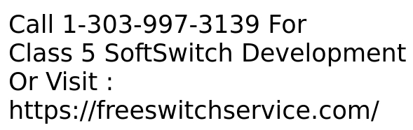 Class 5 SoftSWITCH Development