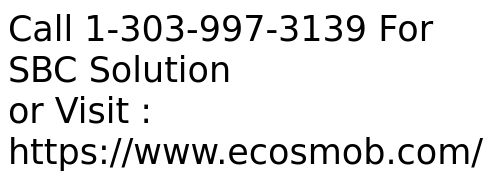 SBC � Secure, Flexible, Compelling With Abundant Features