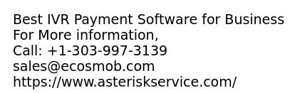 Best IVR Payment Software for Business