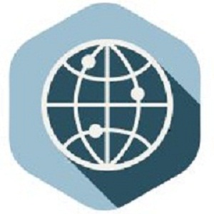 Roseville It Consultant