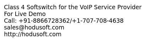 Class 4 Softswitch for the VoIP Service Provider