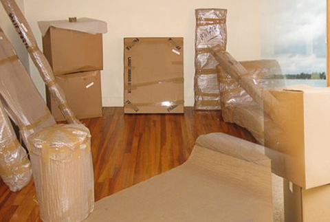 Packers And Movers In Noida