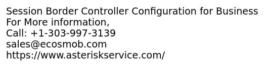 Session Border Controller Configuration for Business
