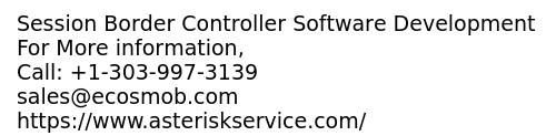 Session Border Controller Software Development