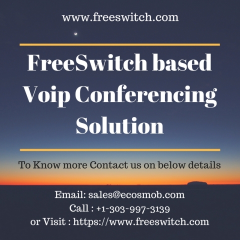 Conferencing Solution Bridging � Future of Communication