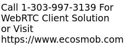 Custom WebRTC Client Solution Development By WebRTC Experts