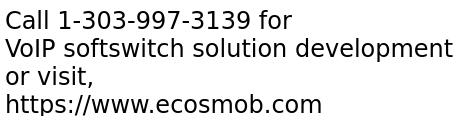 VoIP softswitch solution development services
