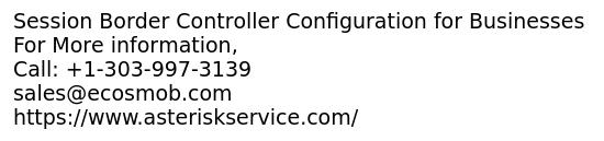 Session Border Controller Configuration for Businesses