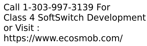 Class 4 SoftSWITCH Development Services