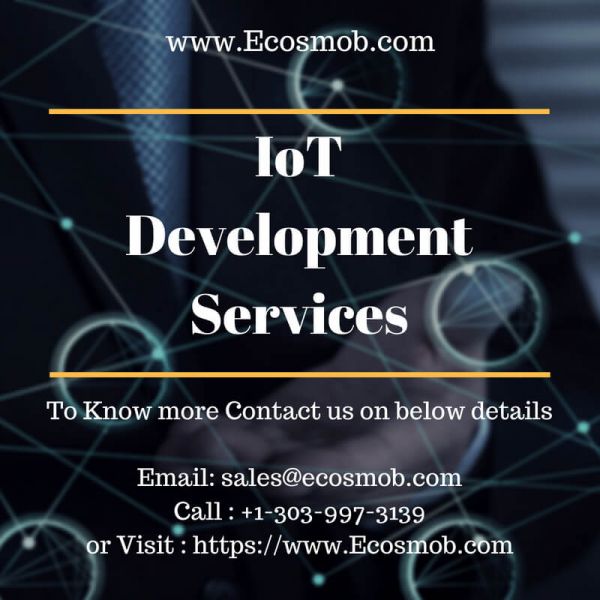 Customized IoT Services To Harness The Power of Future Technology