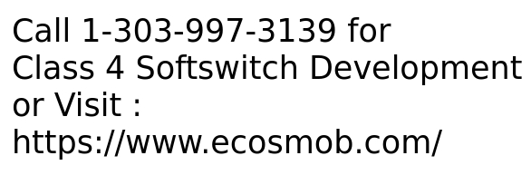 Class 4 Softswitch Development