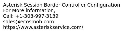 Session Border Controller for VoIP Provider
