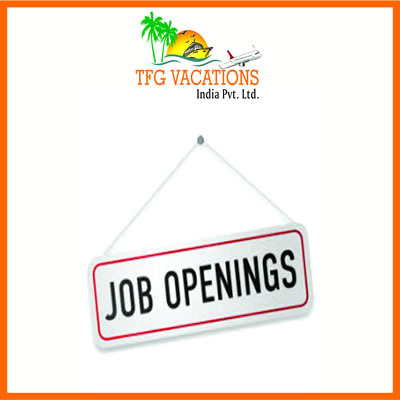 Part Time Work TFG-A leading Tour & Travel Company