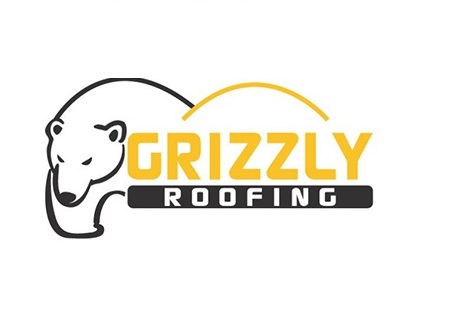 Commercial Roof Repair 