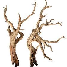 Natural Driftwood For Aquarium