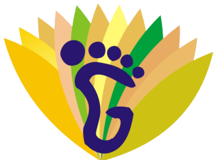 Best Wedding Planners in Udaipur