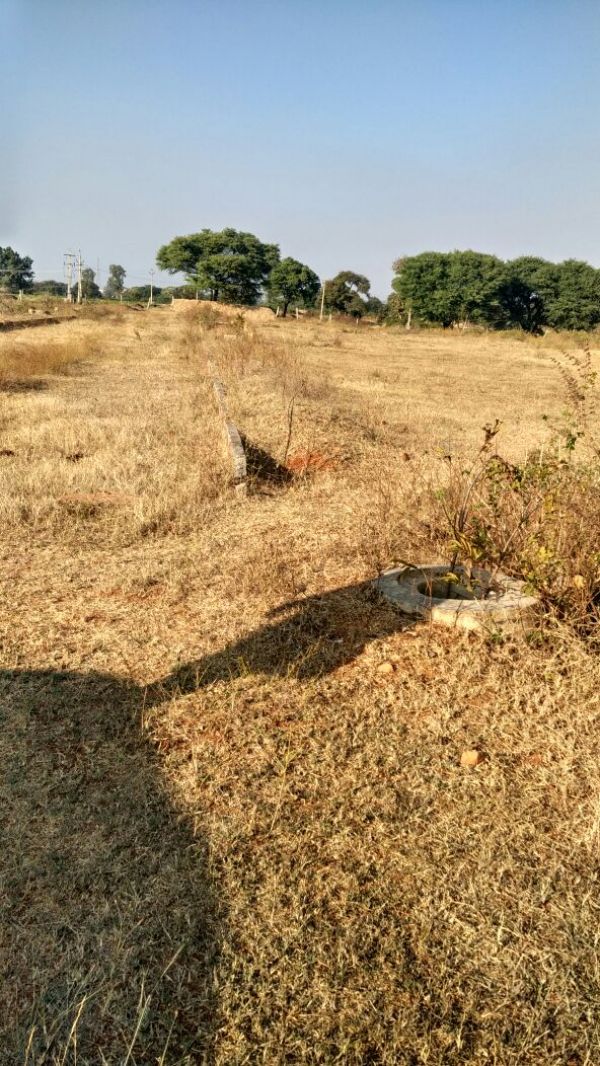  BEST THING  TO GIFT FOR CHILD 200 sq yad plot NEAR Shamshabad,HYDERABAD 