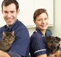 Good Pet Vet in Houston