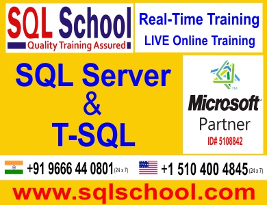 PRACTICAL SQL Online Training