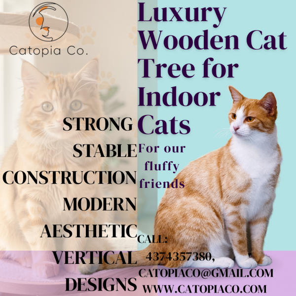 Solid Wood Cat Tree | Natural Durability by Catopia Co.