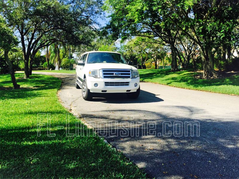 Special price for Limo