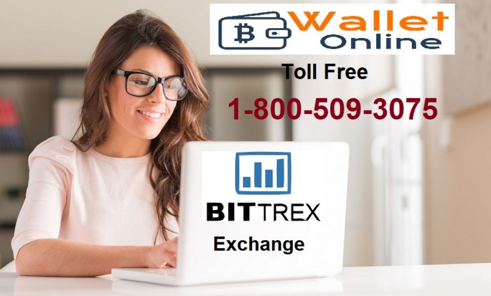 Problems with Transaction Issues need Bittrex Support number