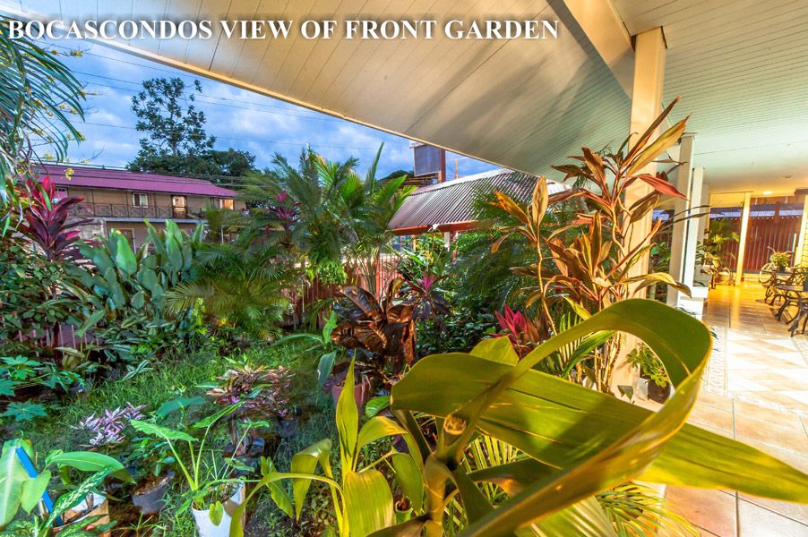 List of best boca del toro apartments at competitive prices