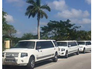 Limo in Florida for wedding 