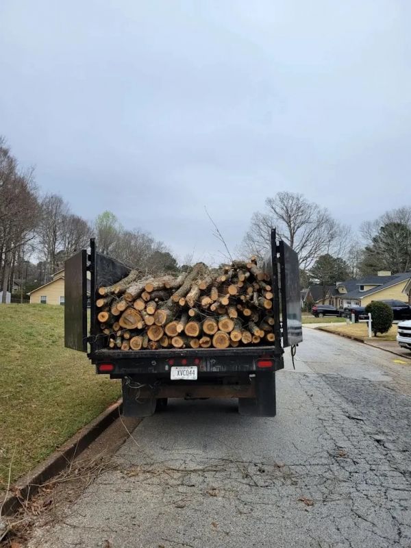 Stump grinding in my area | Advance Grading & Tree Service