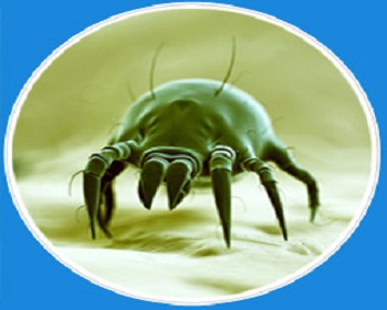 Air Duct Dryer Vent Cleaning