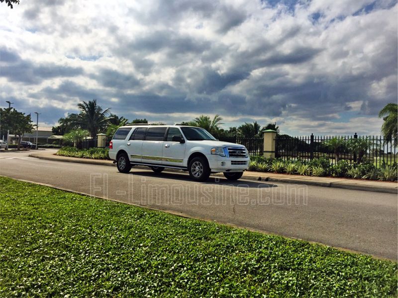 Special Limousine service 