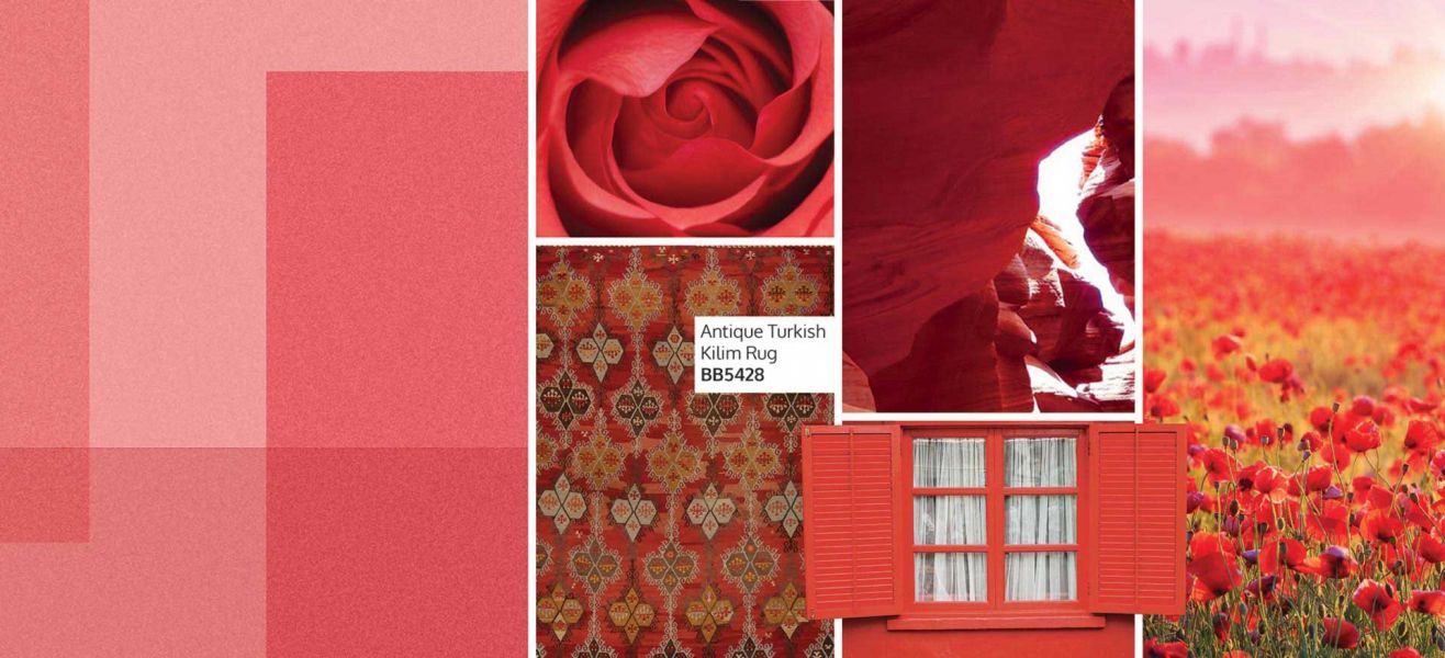 DLB Vintage & Antique Rugs