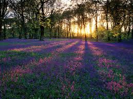  Krishna Restaurant and Banquit Hall