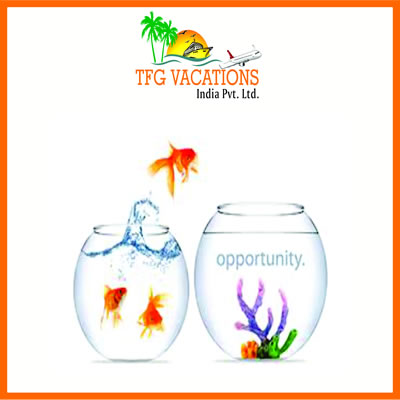 Work for a Travel Website for Few Hours