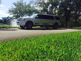 Limo service for prom Florida 